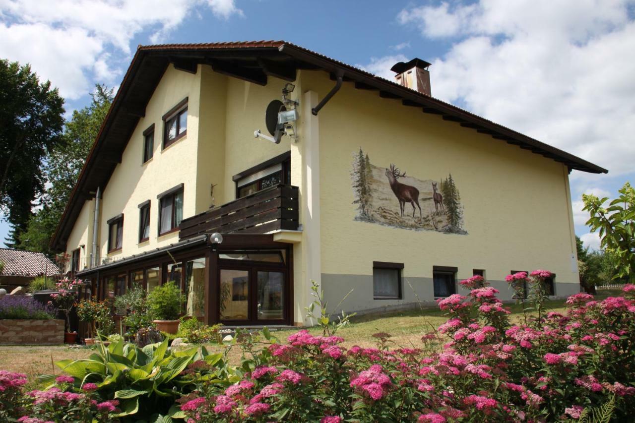 Appartamento Haus Elisabeth Neuschönau Esterno foto